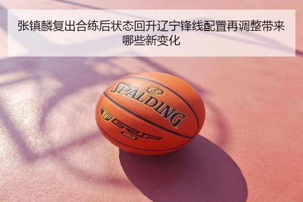 张镇麟复出合练后状态回升辽宁锋线配置再调整带来哪些新变化